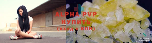 гашик Михайловск