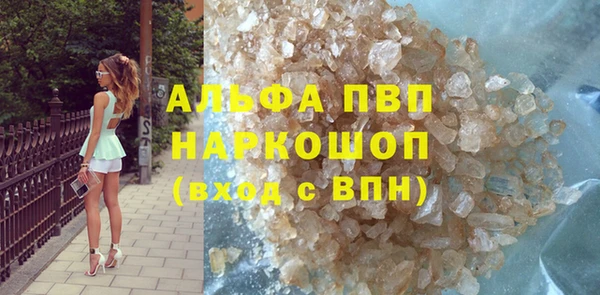 гашик Михайловск