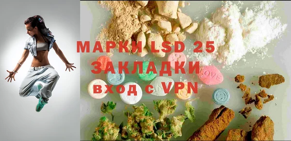 гашик Михайловск