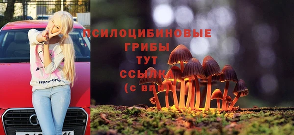 гашик Михайловск