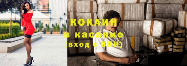 гашик Михайловск