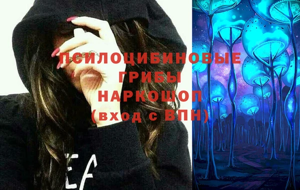 spice Михайловка